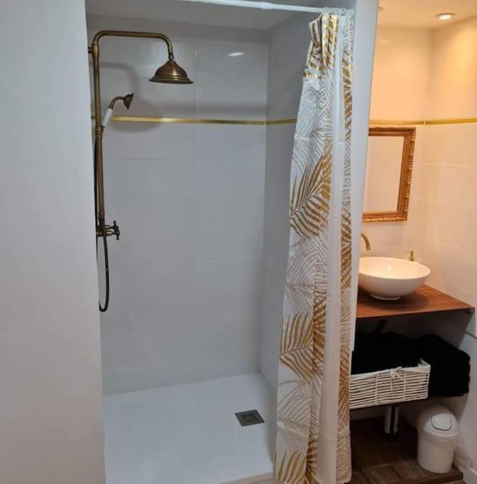 Apartament Le « Saint-Just » Rodez Zewnętrze zdjęcie